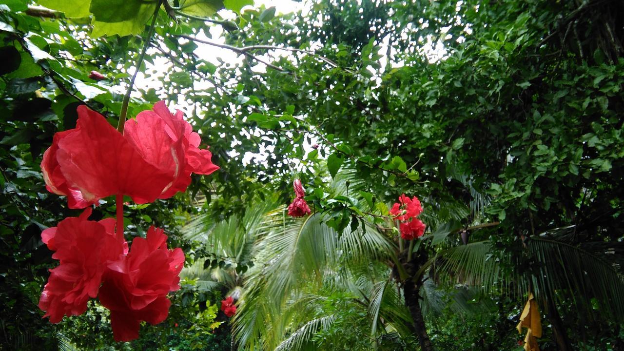 Ecopacific Lodge Santa Teresa Playa Bejuco (Guanacaste) מראה חיצוני תמונה