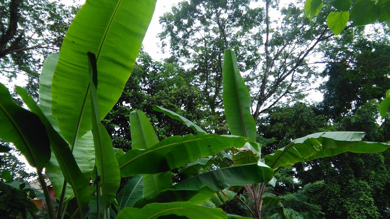 Ecopacific Lodge Santa Teresa Playa Bejuco (Guanacaste) מראה חיצוני תמונה